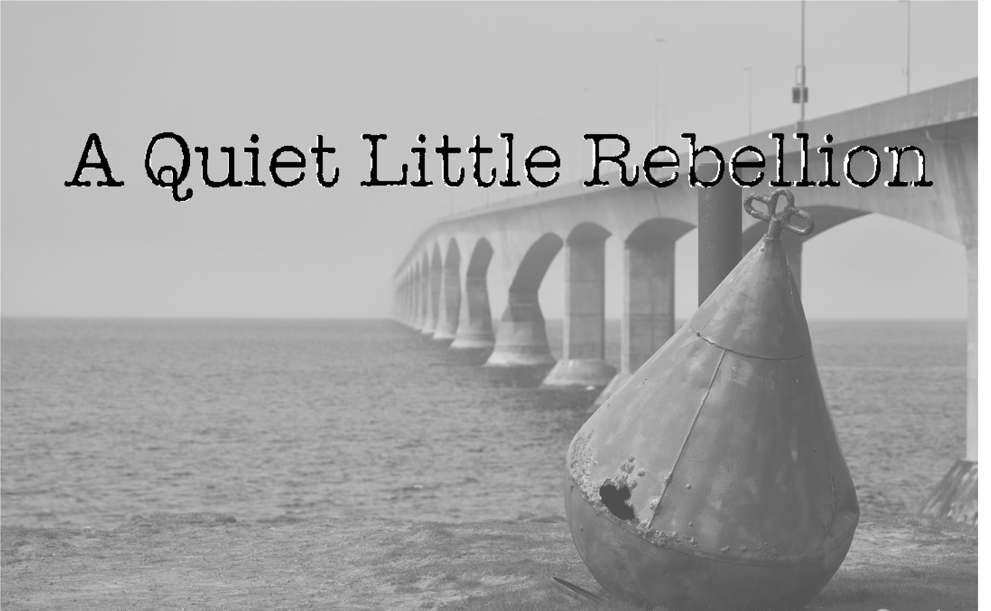 A Quiet Little Rebellion